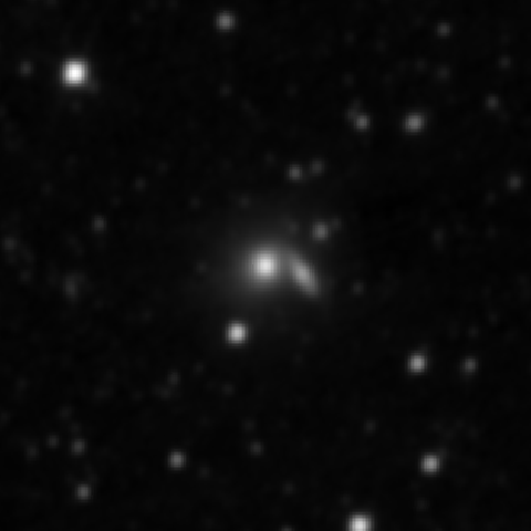 Survey preview for NGC 2991