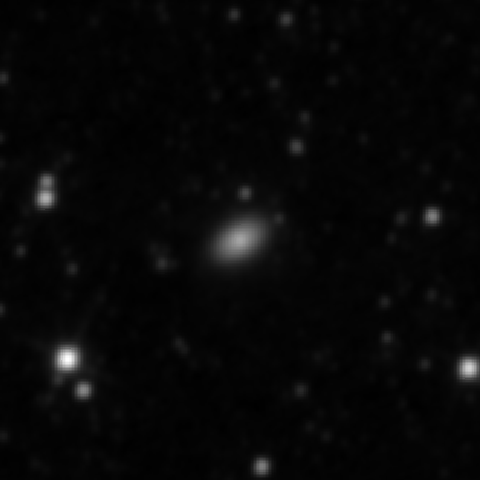 Survey preview for NGC 2994