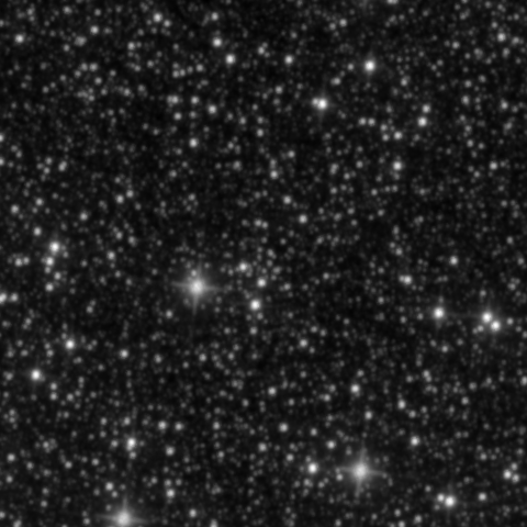 Survey preview for NGC 2999
