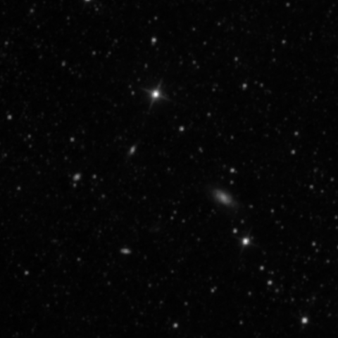 Survey preview for NGC 3004