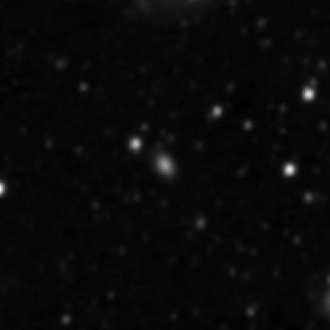 Survey preview for NGC 3019