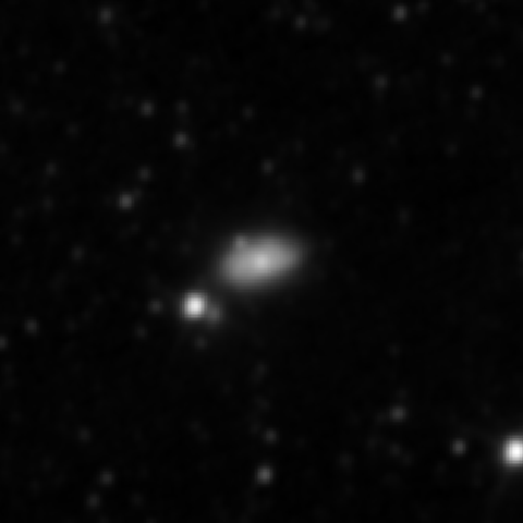 Survey preview for NGC 3021