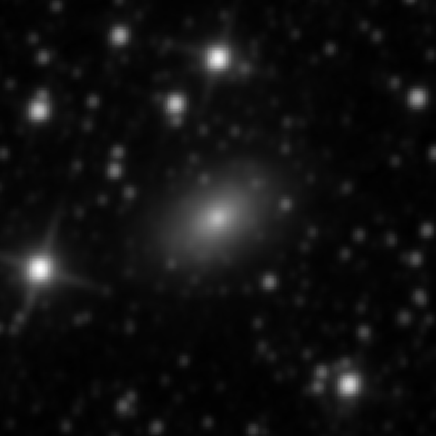 Survey preview for NGC 3038