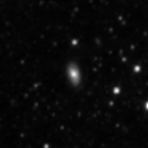 Survey preview for NGC 3039