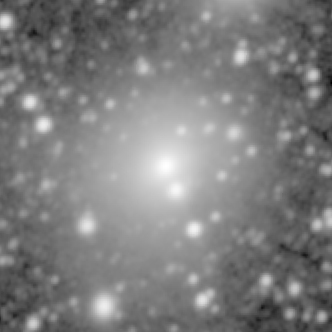 Survey preview for NGC 383