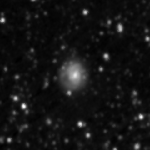 Survey preview for NGC 3061