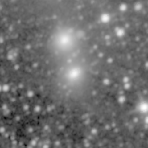 Survey preview for NGC 384