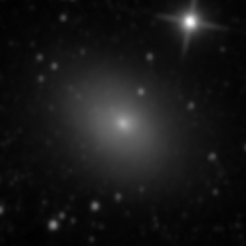Survey preview for NGC 3077