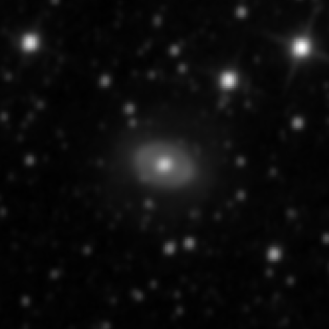 Survey preview for NGC 3081