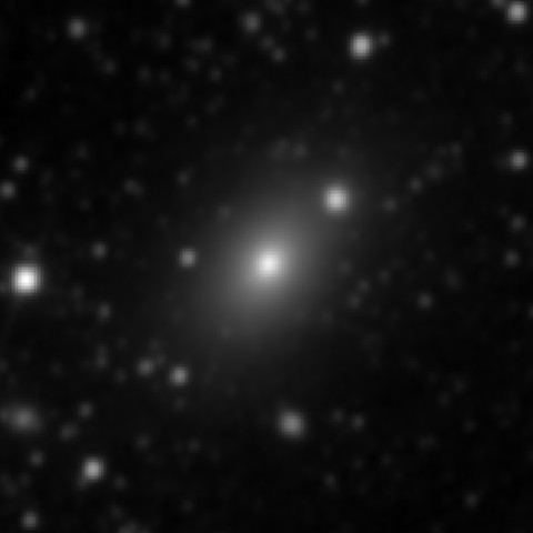 Survey preview for NGC 3091