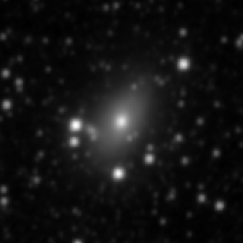Survey preview for NGC 3100