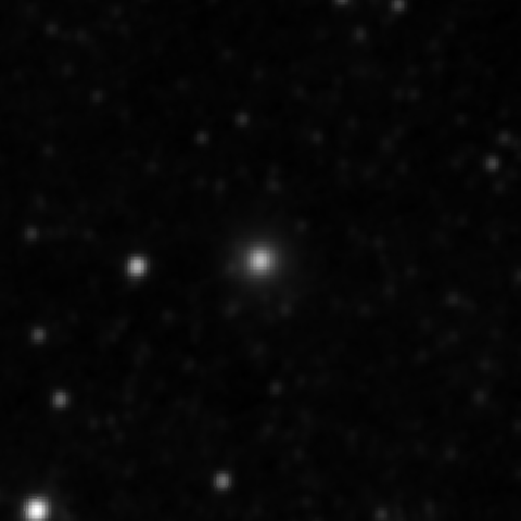 Survey preview for NGC 3116