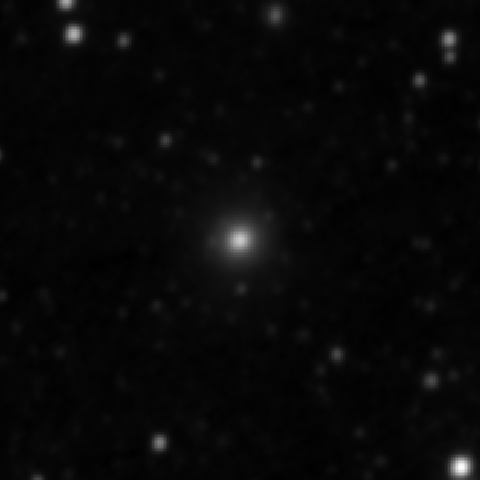 Survey preview for NGC 3117