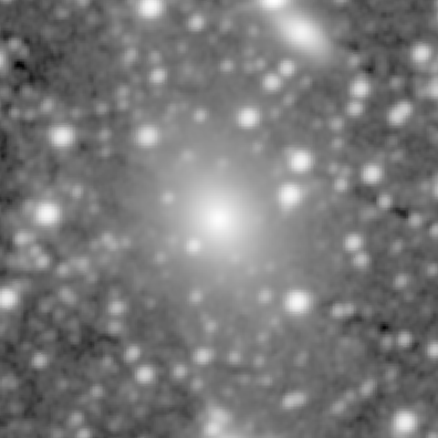 Survey preview for NGC 393