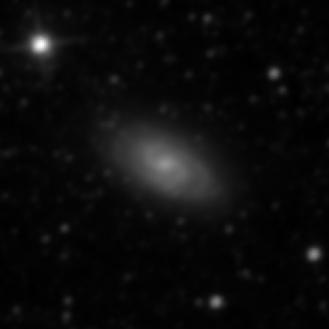 Survey preview for IC 1954