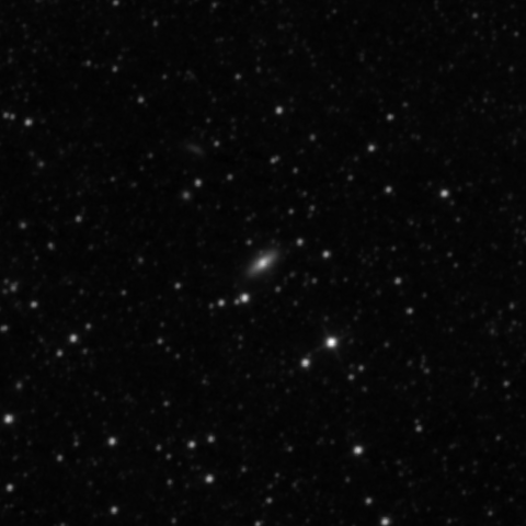 Survey preview for IC 1981