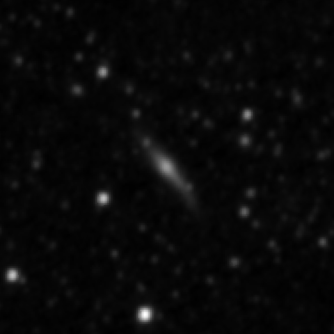 Survey preview for NGC 3118