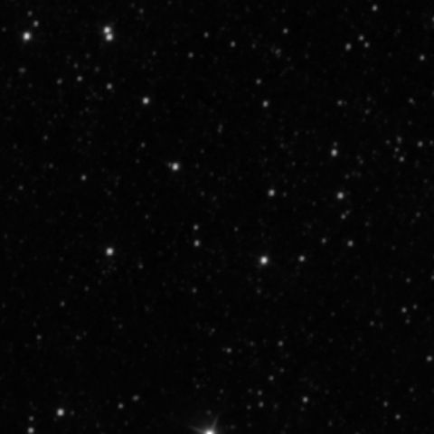 Survey preview for NGC 3123