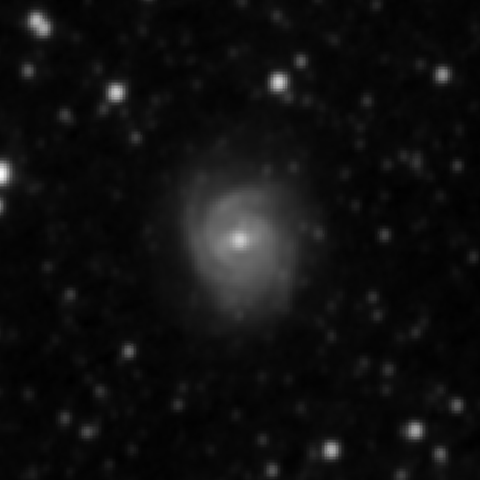 Survey preview for NGC 3124