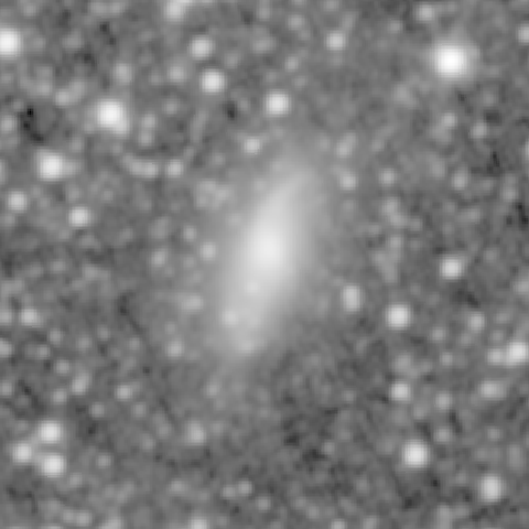 Survey preview for NGC 406