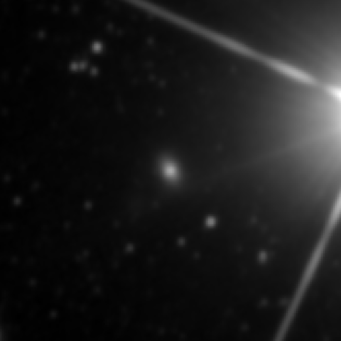 Survey preview for NGC 3130