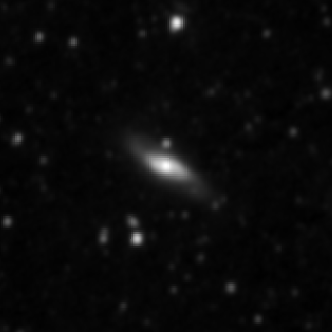 Survey preview for NGC 3131