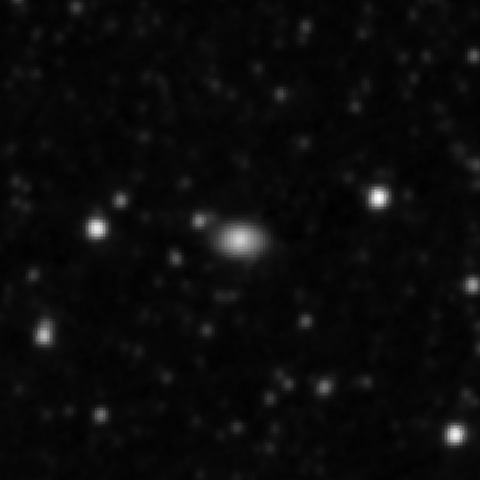 Survey preview for NGC 3135