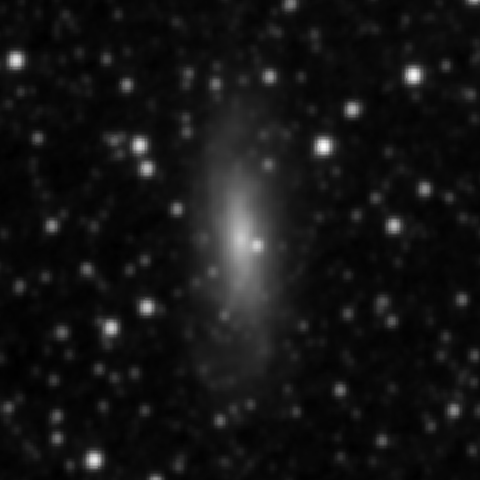 Survey preview for NGC 3137