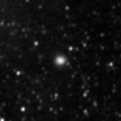 Survey preview for NGC 3143