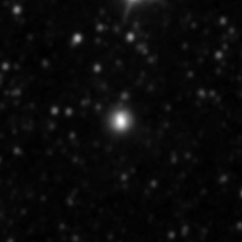 Survey preview for NGC 3146