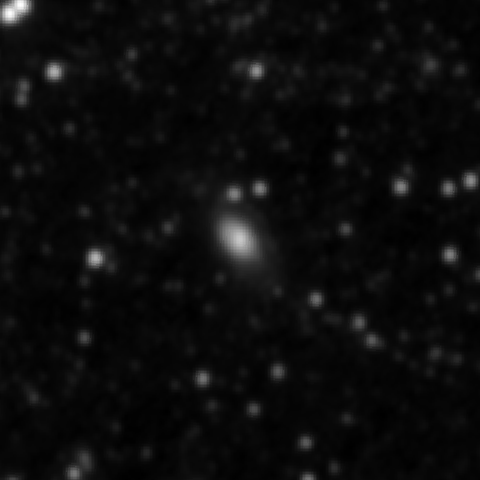 Survey preview for NGC 3155