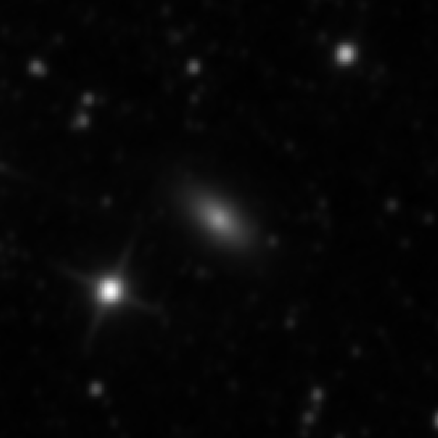 Survey preview for NGC 3156