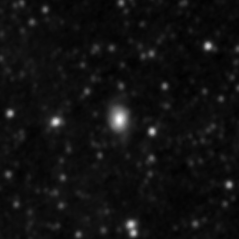 Survey preview for NGC 3164