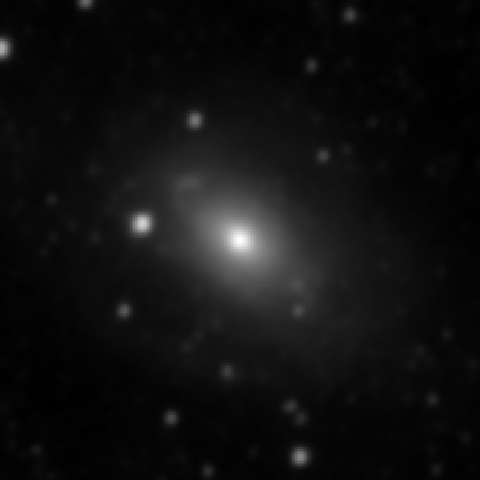 Survey preview for NGC 3169