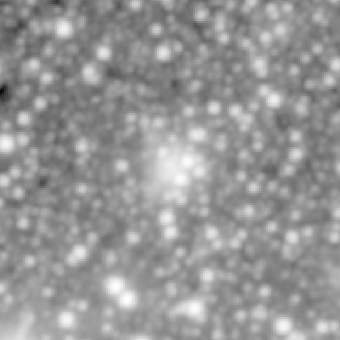 Survey preview for NGC 411