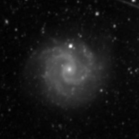 Survey preview for NGC 3184