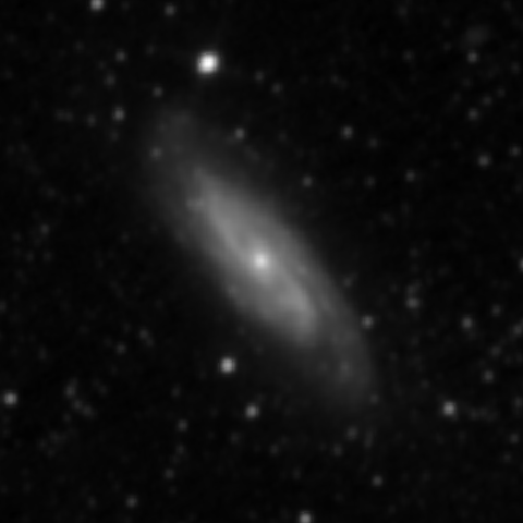 Survey preview for NGC 3198