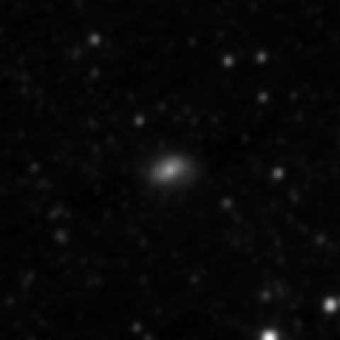 Survey preview for NGC 3204