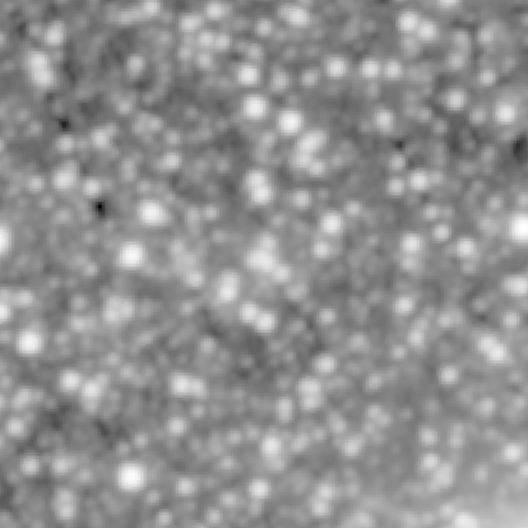 Survey preview for NGC 422