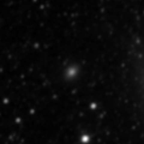 Survey preview for IC 2041