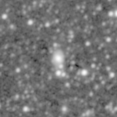 Survey preview for NGC 427