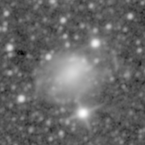 Survey preview for NGC 428
