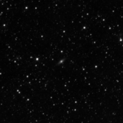 Survey preview for IC 2077