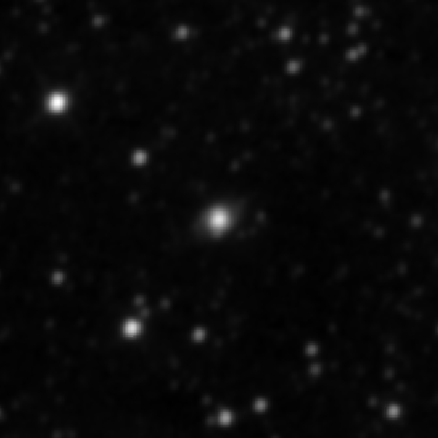 Survey preview for IC 2080