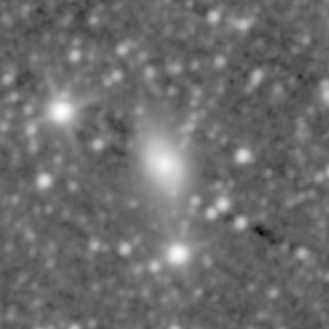 Survey preview for NGC 431