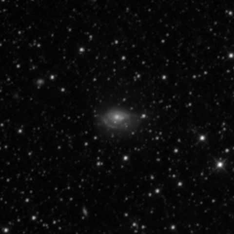 Survey preview for IC 2133