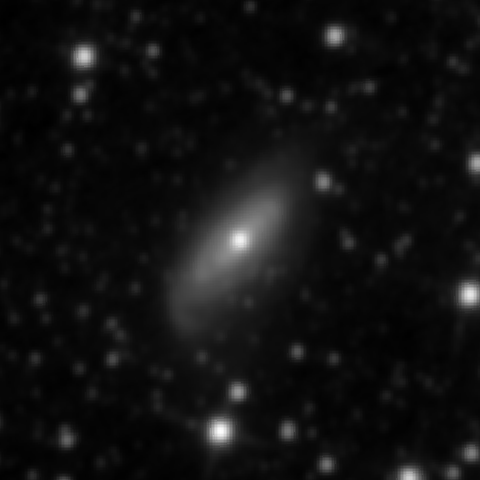 Survey preview for NGC 3281