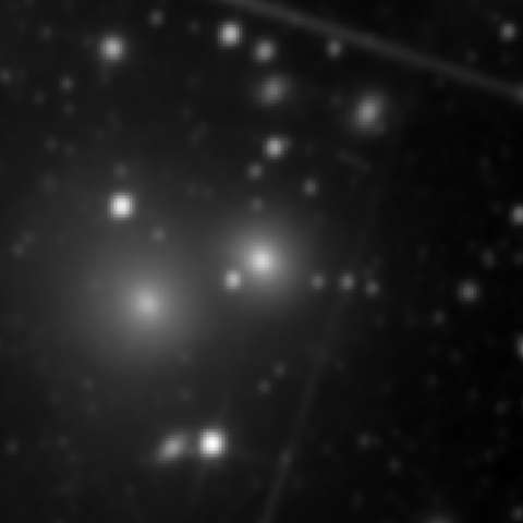 Survey preview for NGC 3309