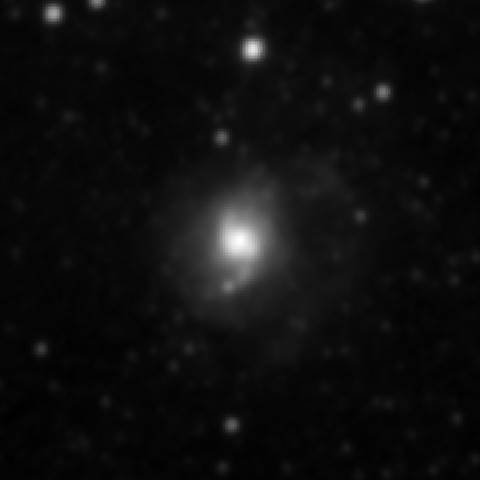 Survey preview for NGC 3310