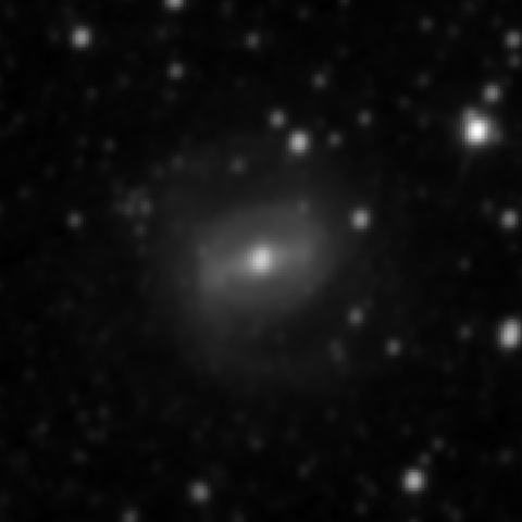 Survey preview for NGC 3313